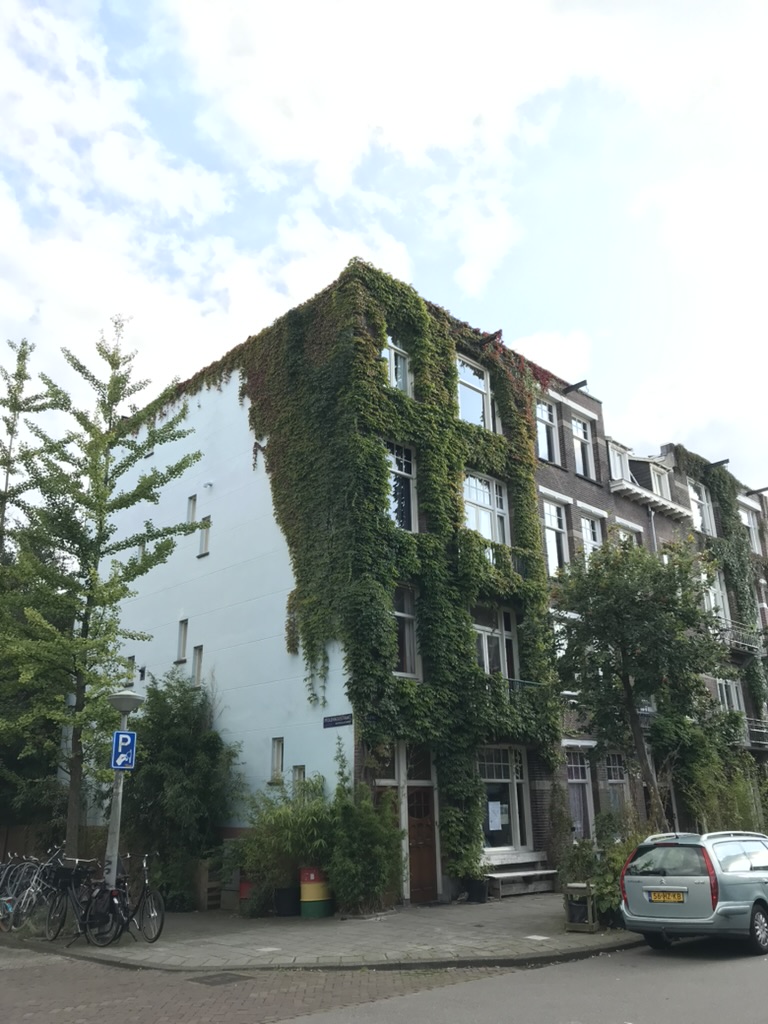 Ivy-Covered Corner House